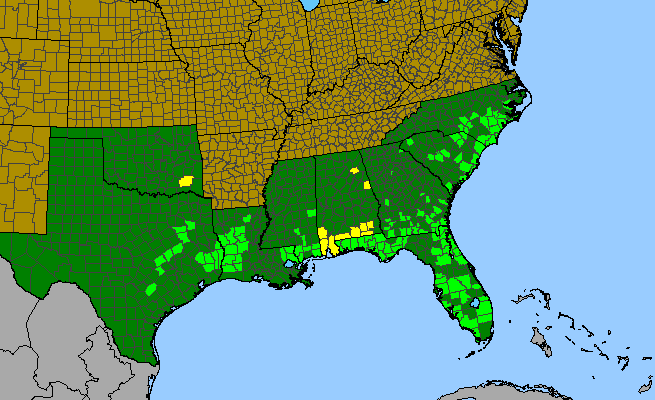 The range of Burmannia capitata
